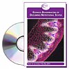 Show product details for Common Denominators of Declining Nutritional Status CE Course (2009) :: Online Bundle